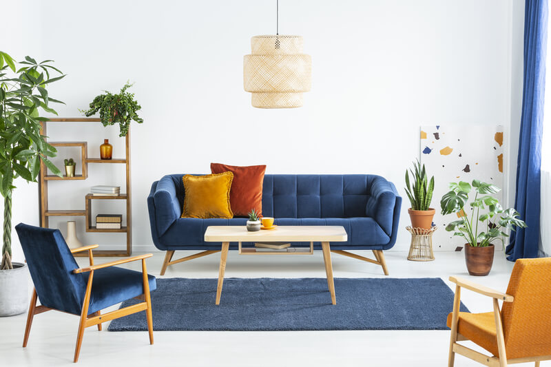 kamerplant als cadeau