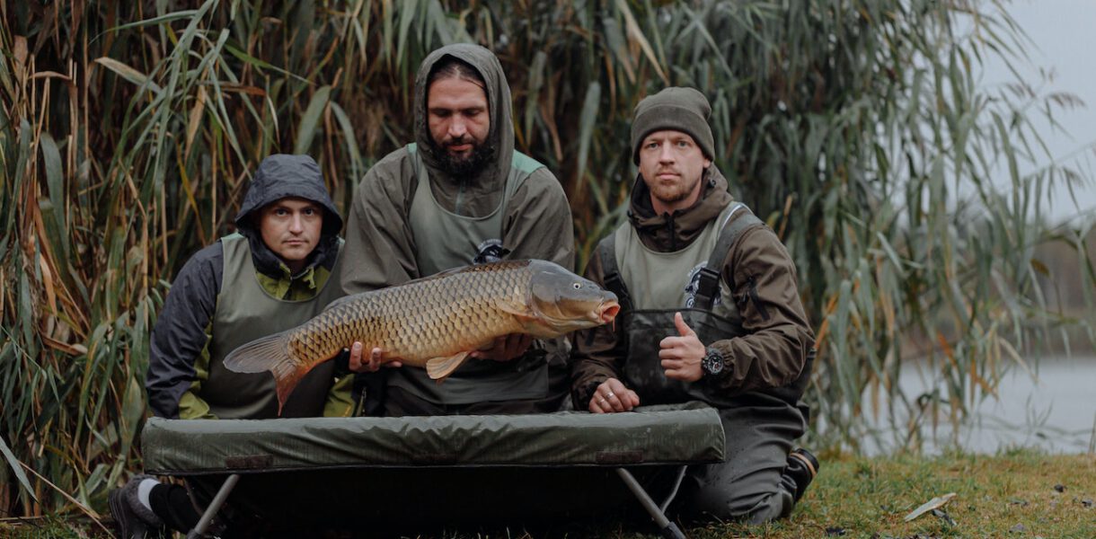 boilies