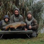 boilies