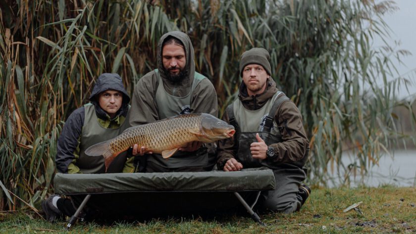 boilies
