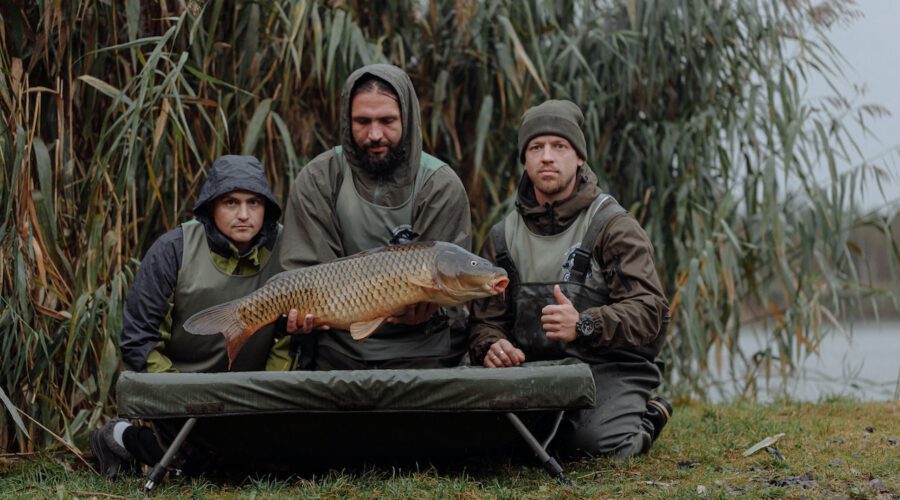 boilies